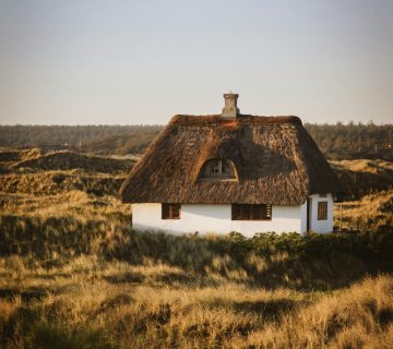 De geschiedenis van rieten daken timmerman