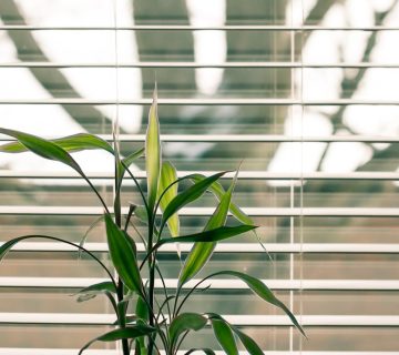 Wat je moeten weten om perfecte raamdecoratie te maken