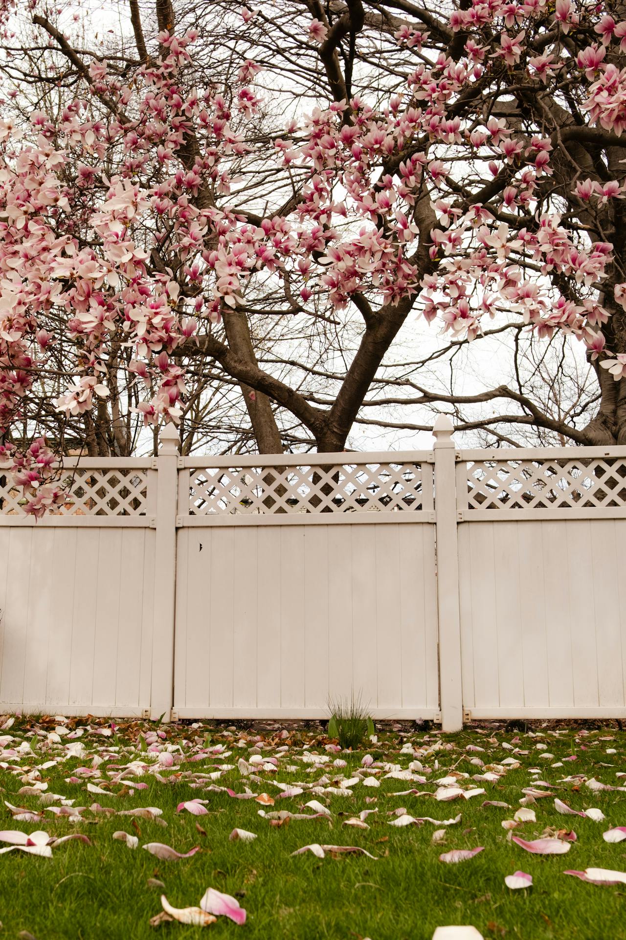 Je eigen plek creeren min